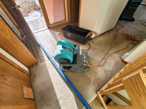 Best Water damage cleanup near me  in Keeseville, NY