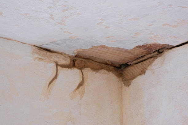 Keeseville, NY Water damage restoration Pros